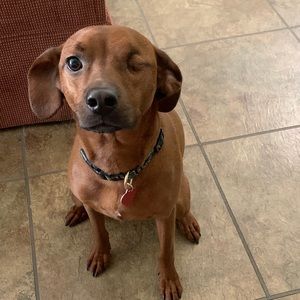 Meet your Posher, Steve